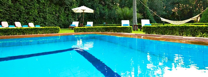 556/Vivanta by Taj Sawai Madhopur Lodge - Sawai Madhopur 23.jpg